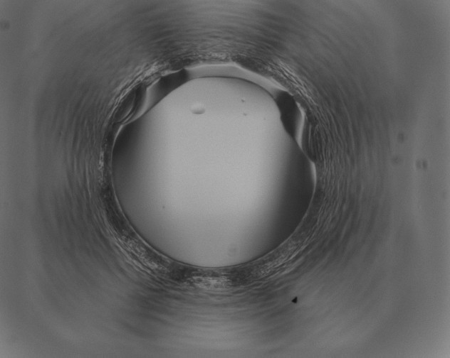 X0000087370552200705181219