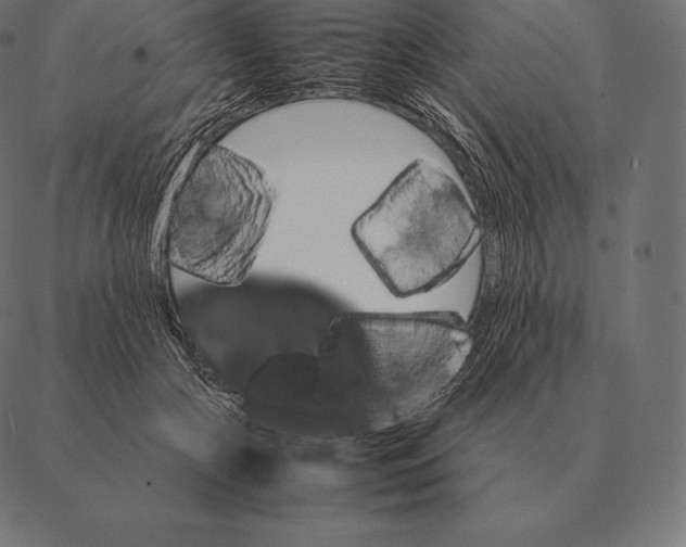 X0000087370553200705181219