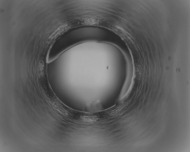 X0000087370556200705181219