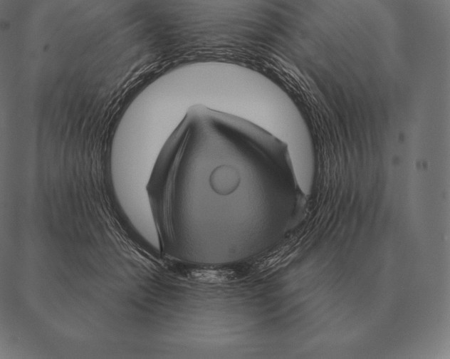 X0000087370558200705181219