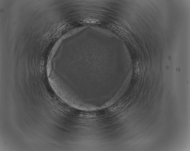 X0000087370559200705181219