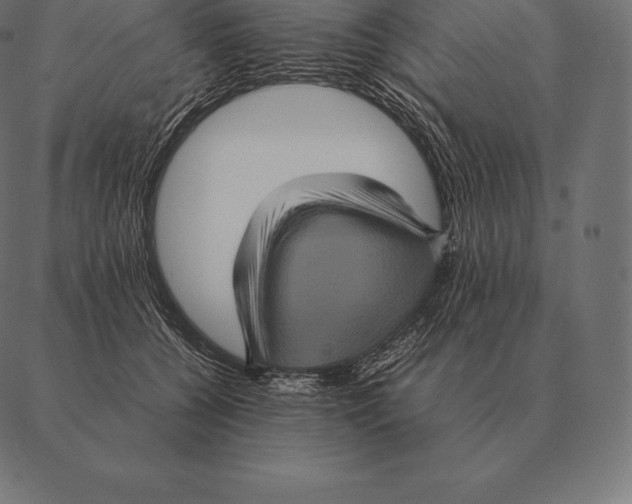 X0000087370560200705181219