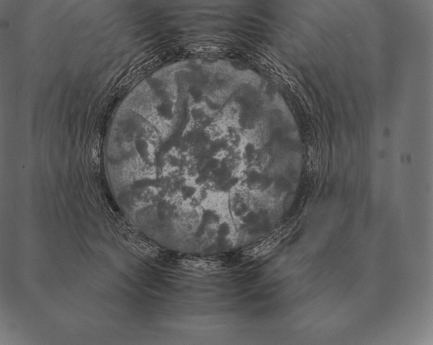 X0000087370561200705181219