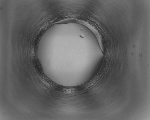 X0000087370564200705181219