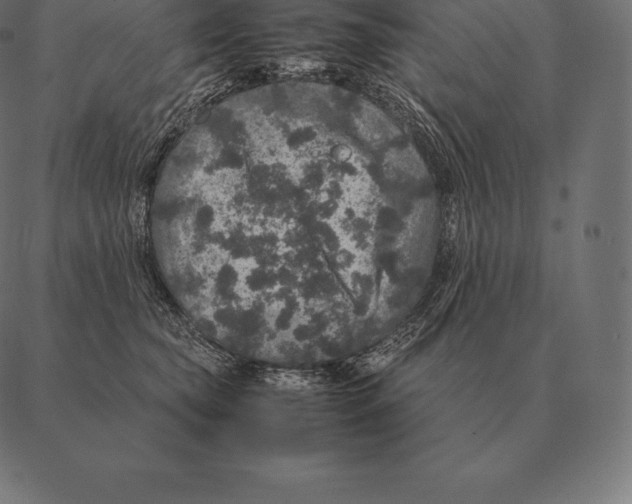 X0000087370565200705181219