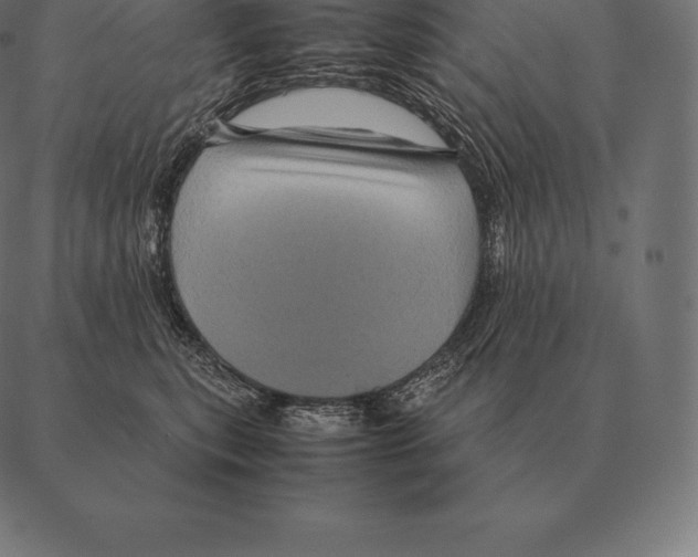 X0000087370567200705181219