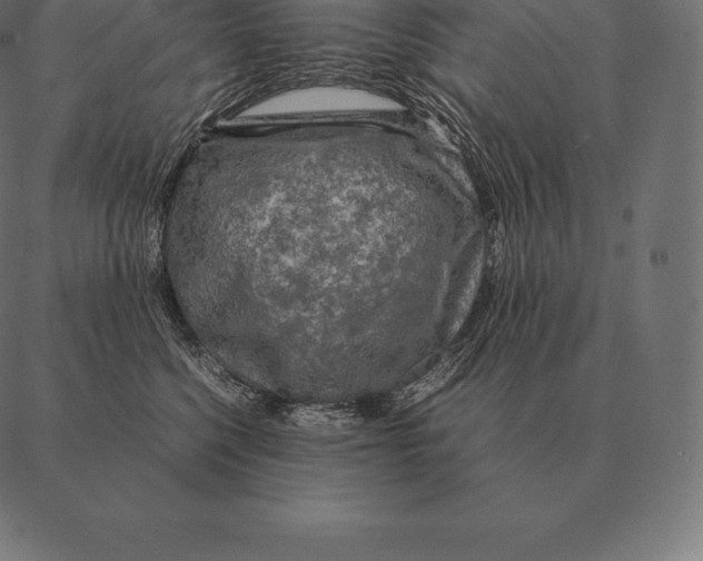 X0000087370568200705181219