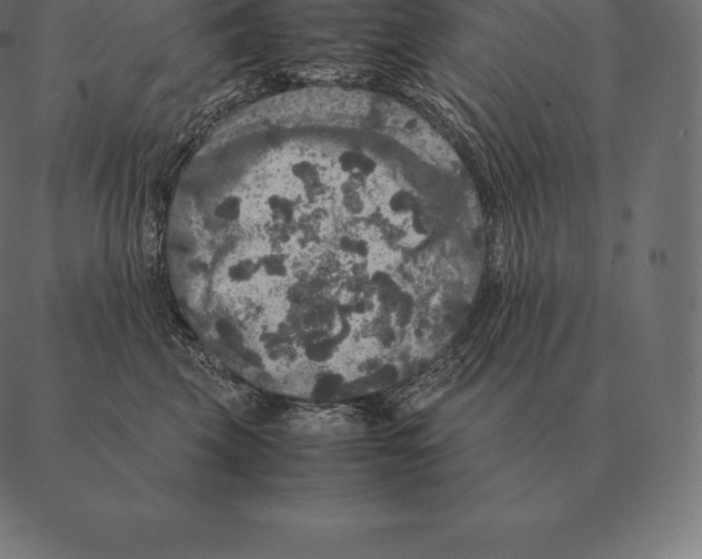 X0000087370569200705181219