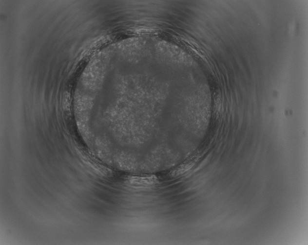 X0000087370571200705181219