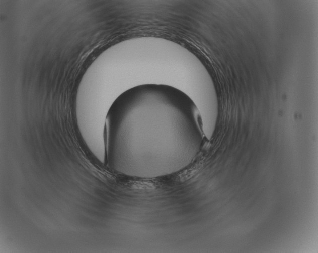 X0000087370572200705181219