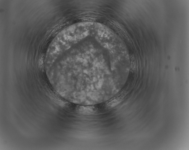 X0000087370573200705181219