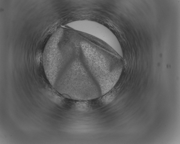 X0000087370574200705181219