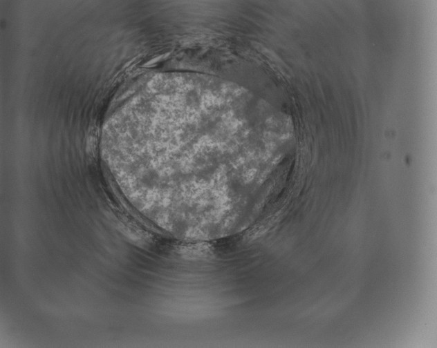 X0000087370576200705181220