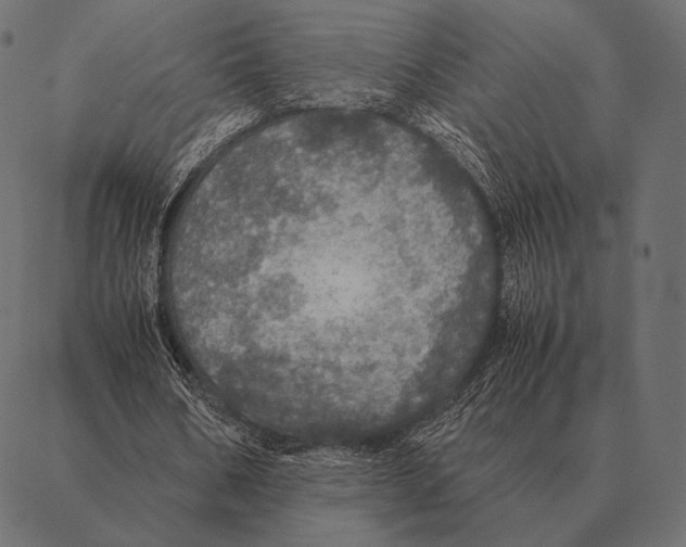 X0000087370578200705181219