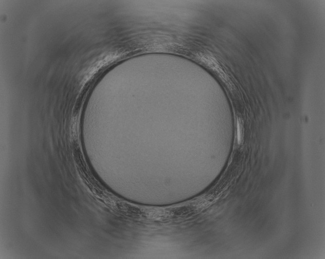 X0000087370579200705181219