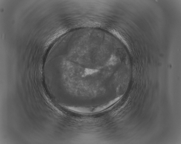 X0000087370581200705181219