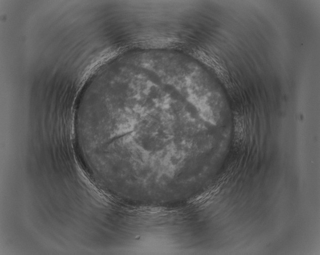 X0000087370582200705181219