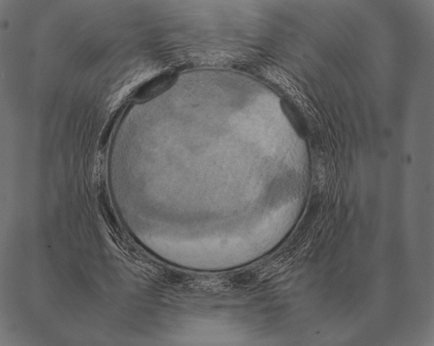 X0000087370583200705181219