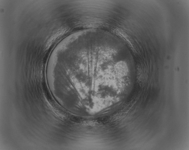 X0000087370586200705181219