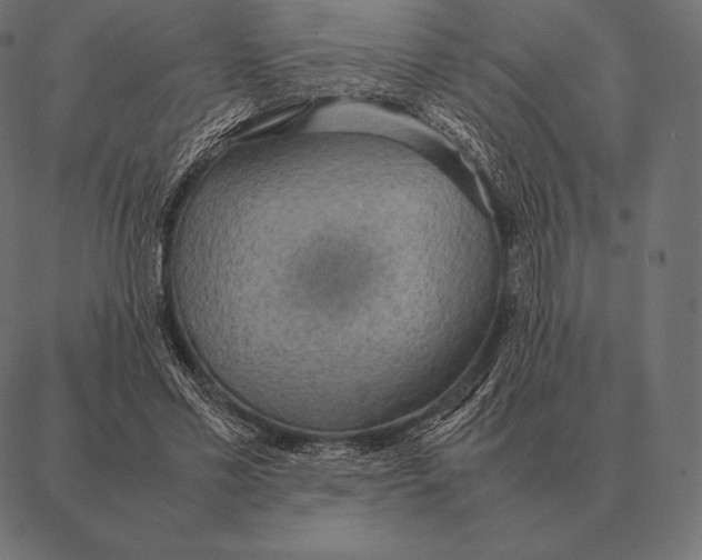 X0000087370589200705181219