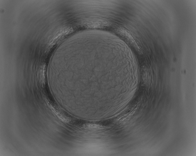 X0000087370590200705181219