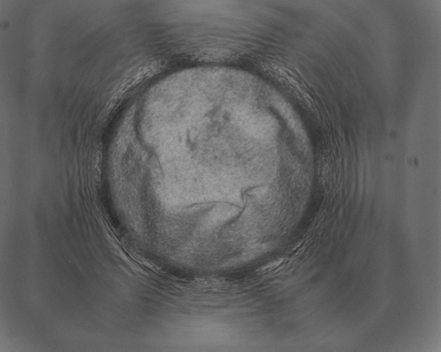 X0000087370591200705181219