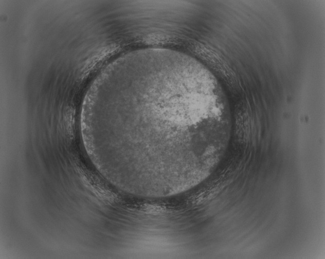 X0000087370592200705181218