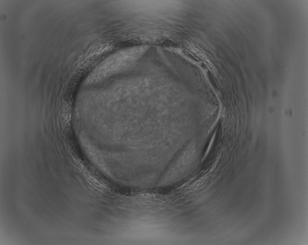 X0000087370593200705181218