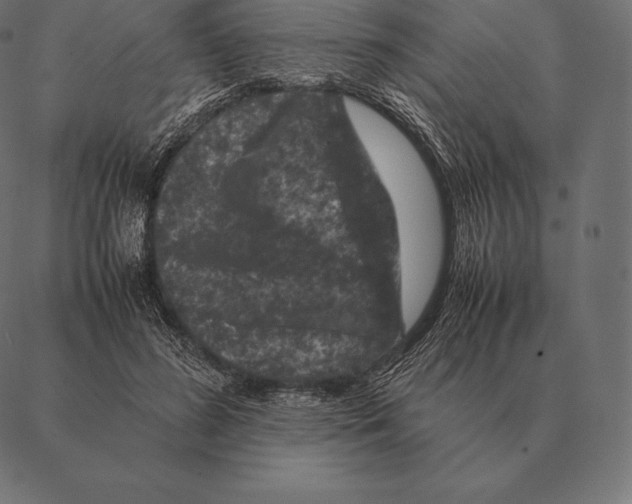 X0000087370596200705181218