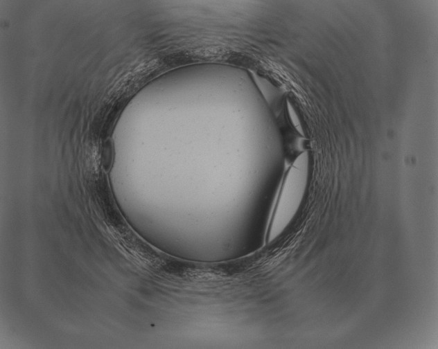 X0000087370597200705181218