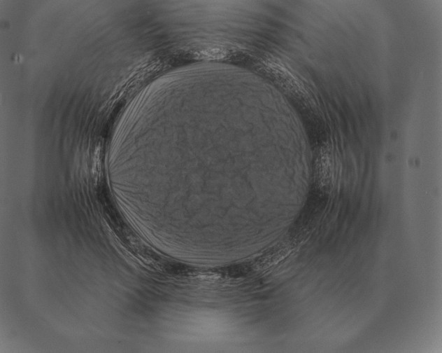 X0000087370598200705181218