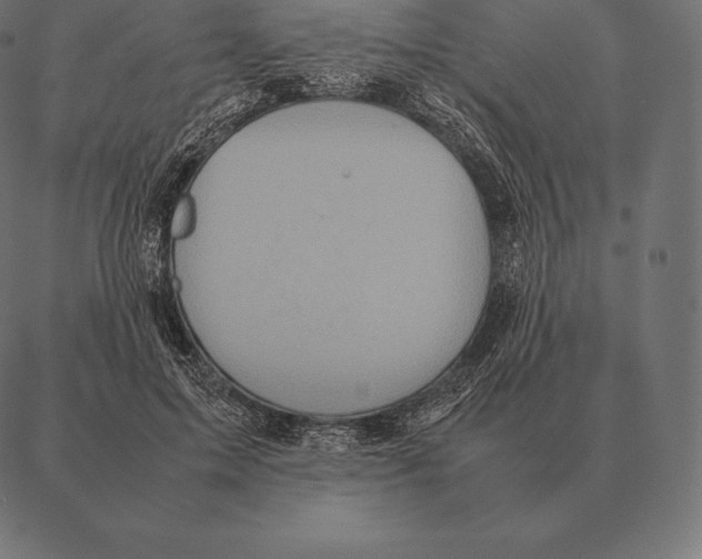 X0000087370599200705181218