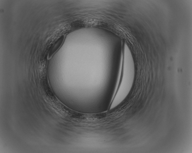 X0000087370601200705181218