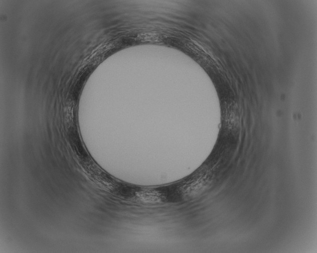 X0000087370603200705181218