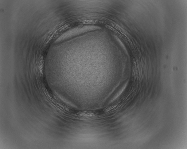 X0000087370604200705181218