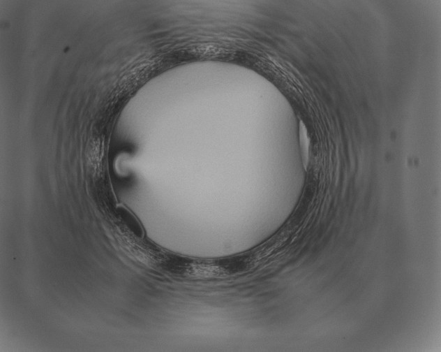 X0000087370605200705181218