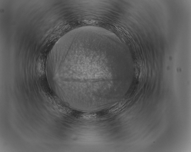 X0000087370606200705181218