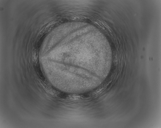 X0000087370607200705181218