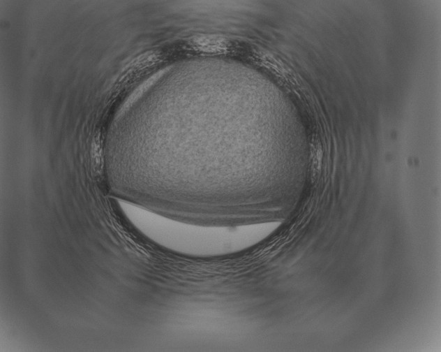 X0000087370609200705181218