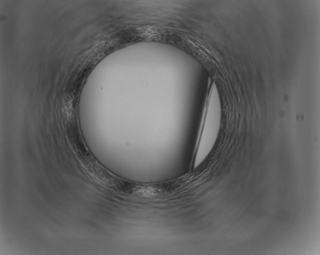 X0000087370611200705181218