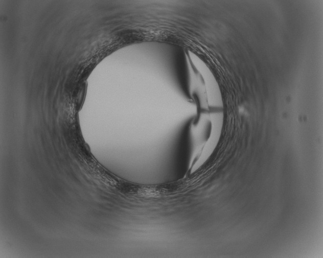 X0000087370613200705181218