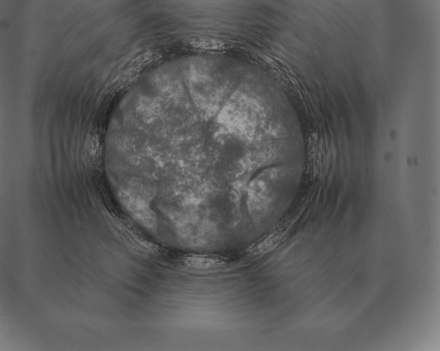 X0000087370614200705181218