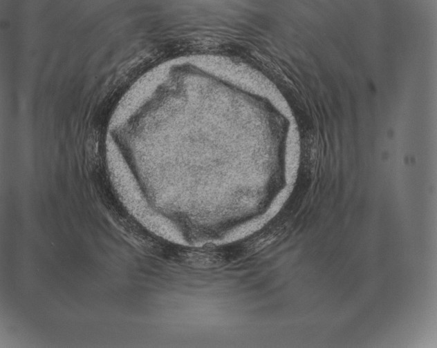 X0000087370615200705181218