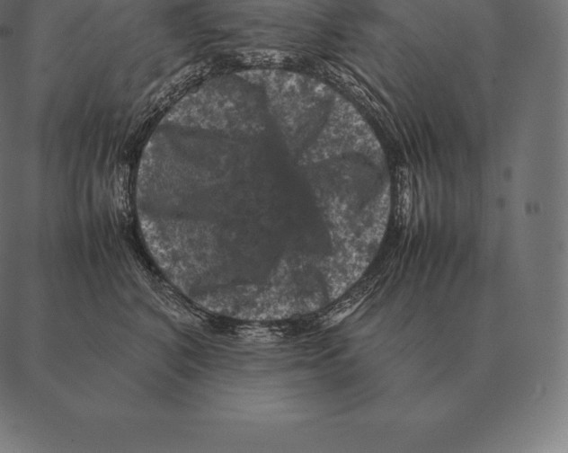 X0000087370616200705181218