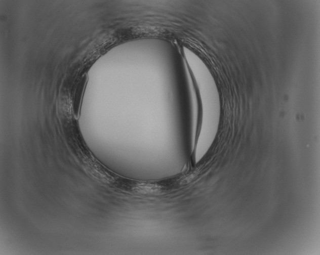 X0000087370617200705181218