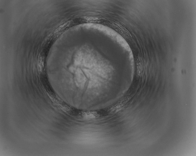 X0000087370618200705181218