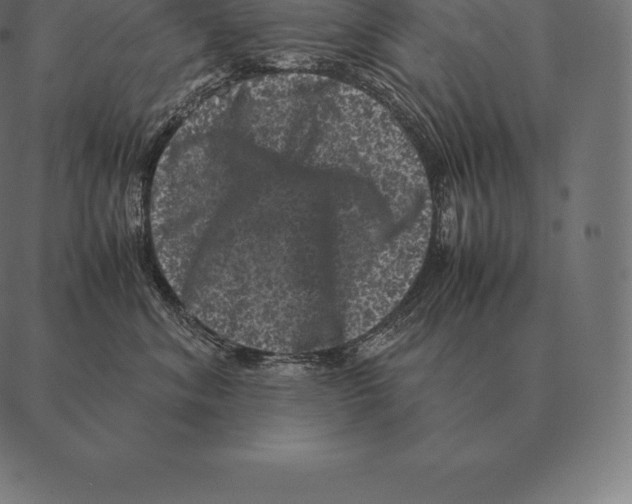 X0000087370620200705181218