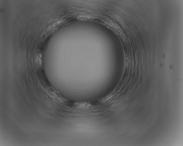 X0000087370621200705181218