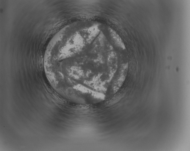 X0000087370624200705181218