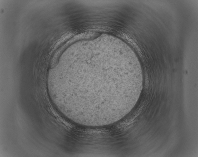 X0000087370625200705181217